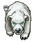 Frost Bear